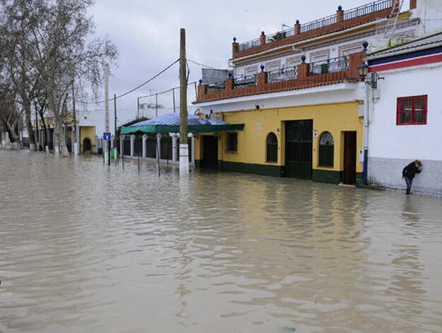 Una calle de Lora del R&iacute;o totalmente cubierta por el agua.

Foto: Juan Carlos V&aacute;zquez