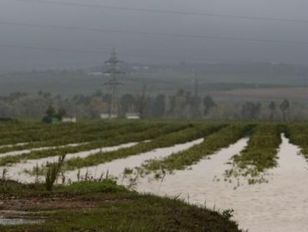 Un hombre fotograf&iacute;a un campo inundado en Tocina.

Foto: Agencias