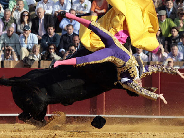 El diestro camero Alfonso Oliva Soto fue cogido aparatosamente por su primer toro, que lo arroll&oacute; de manera violent&iacute;sima.

Foto: Juan Carlos Mu&ntilde;oz