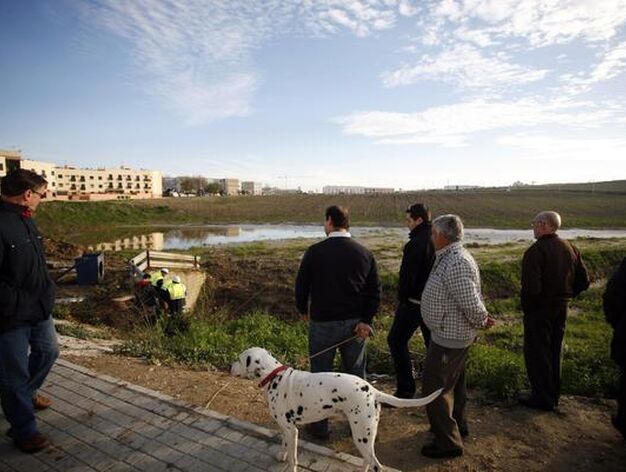Los ciudadanos observan las nuevas obras para evitar otra inundaci&oacute;n en &Eacute;cija.

Foto: Antonio Pizarro