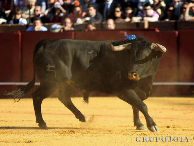 Primer toro de la tarde.

Foto: Juan Carlos Munoz