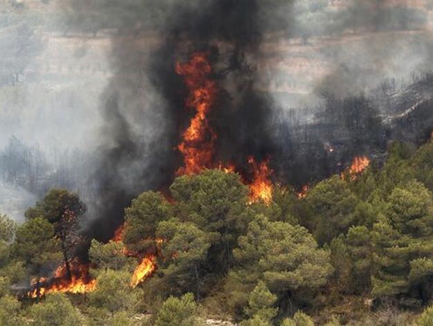 El fuego arrasa miles de hect&aacute;reas en comarcas del interior de la provincia de Valencia.

Foto: Reuters