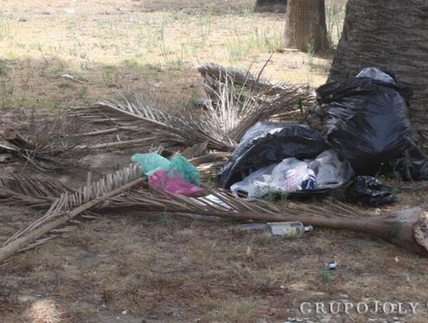 Bolsas de basuras se acumulan, apolladas a los pies de los troncos de las palmeras.

Foto: Paco Guerrero