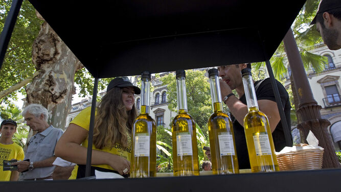 Unos turistas degustan aceite, en una reciente campaña desarrollada en Sevilla.