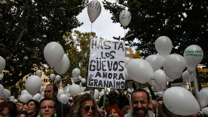 Un grupo de manifestantes durante la protesta por los dos hospitales de Granada, el pasado diciembre.