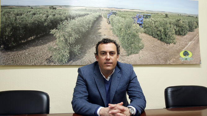 Aguayo explica las ventajas y posibilidades de la plantación y cultivo de olivar en seto respecto al olivar en copa.
