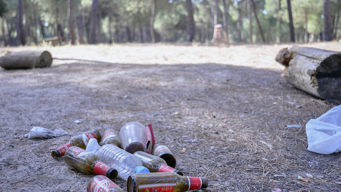 Una imagen de archivo de restos en una zona de acampada de Aznalcázar, antes de la limpieza manual.