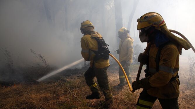 Varios bomberos forestales refrescan el terreno calcinado.