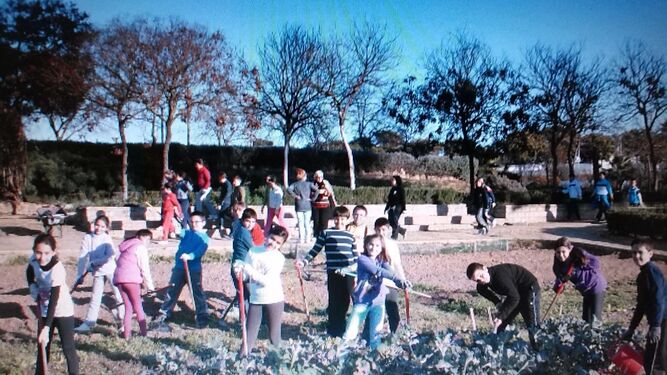 Grupo de niños realizando actividades de siembra en los huertos de Miraflores.