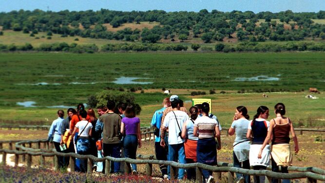 Turistas paseando por la laguna de la Reserva Natural de la Dehesa de Abajo, en La Puebla del Río.