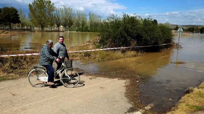Una de las zonas afectadas por la crecida extraordinaria del río Ebro.