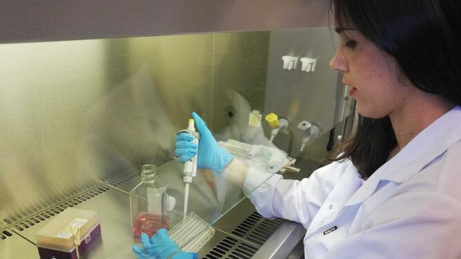 Una de las investigadoras responsables utilizando el método ELISA para aislar la proteína responsable de la angiogénesis.