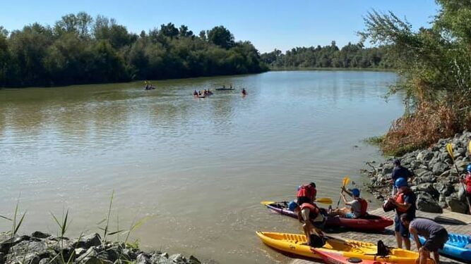 Kayaks accediendo al cauce vivo del río por el nuevo embarcadero o rampa de acceso de Tocina y Los Rosales.