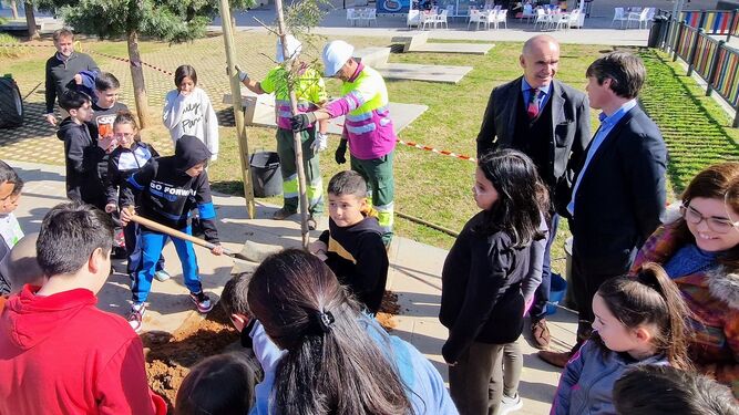 El Ayuntamiento eliminará el montículo de Nuevo Amate para ampliar la zona de juegos infantiles