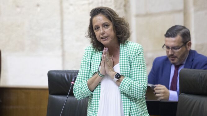 La consejera de Salud¡, Catalina García, en el transcurso de un debate parlamentario.