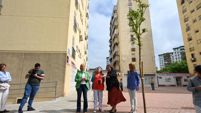La alcaldesa de Jerez y las ediles en la plaza Venus