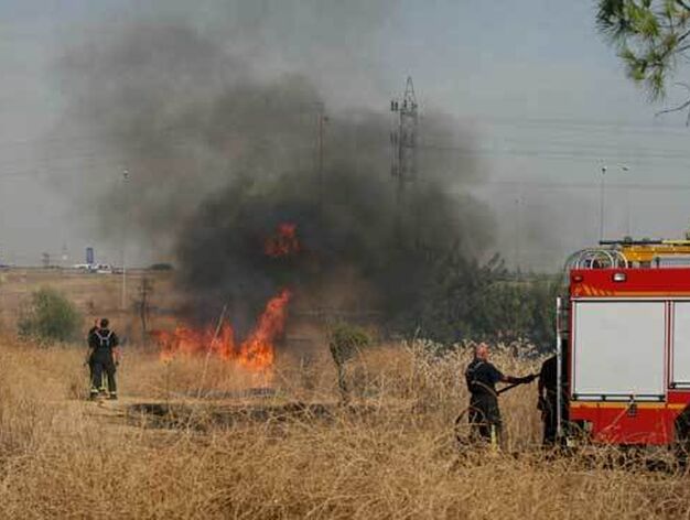 Un peque&ntilde;o fuego brota en una zona de pasto pr&oacute;xima a Su Eminencia.

Foto: B. Vargas