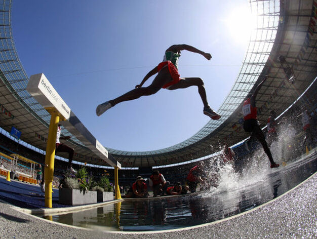 Los atletas participan en la primera ronda de los 3.000 metros durante la celebraci&oacute;n de los Campeonatos del Mundo de Atletismo en Berl&iacute;n (Alemania).

Foto: EFE