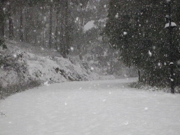 Imagen de la intensa nevada en Constantina.

Foto: C. Valdivieso