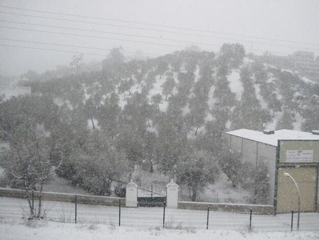 Un cerro cubierto de blanco.

Foto: C. Valdivieso