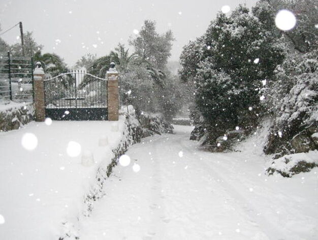 Una calle totalmente nevada con grandes copos cayendo.

Foto: C. Valdivieso