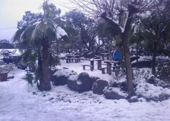 Entre Cazalla y el Pedroso, todo cubierto de nieve./ Jos&eacute; Barrios Dom&iacute;nguez