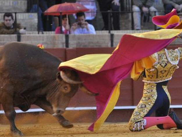 Salvador Cort&eacute;s lidia con el sexto toro a portagayola.

Foto: Manuel G&oacute;mez
