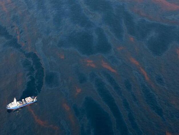 El petr&oacute;leo vertido en el Golfo de M&eacute;xico por una plataforma petrol&iacute;fera amenaza las costas estadounidenses de Luisiana.

Foto: Sean Gardner / Greenpeace HAN /EFE