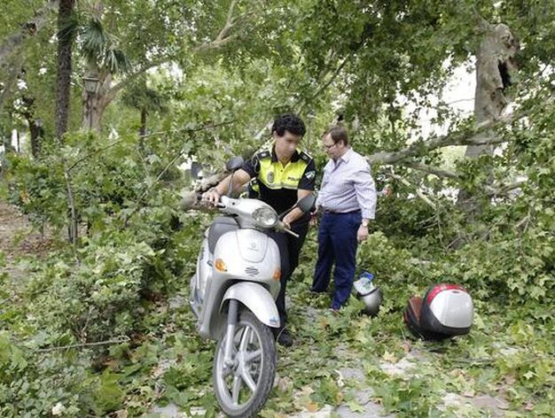 Un polic&iacute;a local ayudando a un motorista que qued&oacute; atrapado por las ramas. 

Foto: Antonio Pizarro
