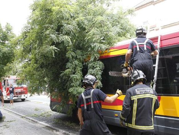 Los bomberos intentan cortar una rama de un &aacute;rbol que ha ca&iacute;do sobre el autob&uacute;s. 

Foto: Antonio Pizarro