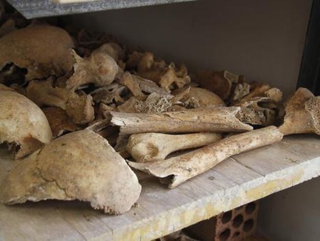 Esqueletos humanos hallados durante la restauraci&oacute;n de la iglesia de San Luis de los Franceses.

Foto: Victoria Hidalgo
