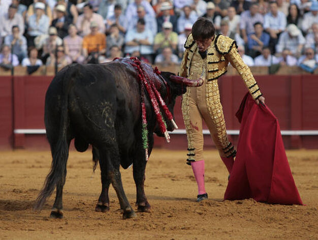Barrera mira desafiante al toro.

Foto: Juan Carlos Mu&ntilde;oz