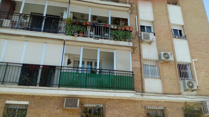 El balcón con plantas desde el que se lanzó al animal