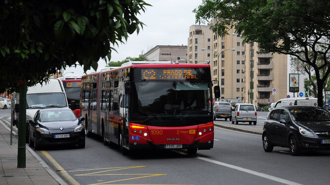 Autobuses de Tussam de la línea C2.