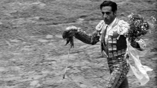 El Gran Miguel de Huelva, el irrepetible Litri, da su última vuelta al ruedo sevillana con un choco en la mano.