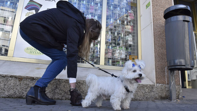 Una mujer recoge los excrementos de su perro en la vía pública.
