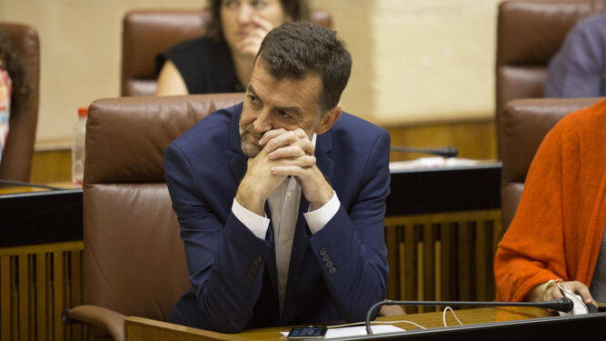 Antonio Maíllo, esta semana en el Parlamento.