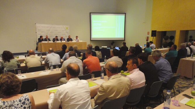 Un momento de las sesiones de la asamblea general de Cooperativas Agro-alimentarias de Andalucía celebrada la pasada semana en Sevilla.
