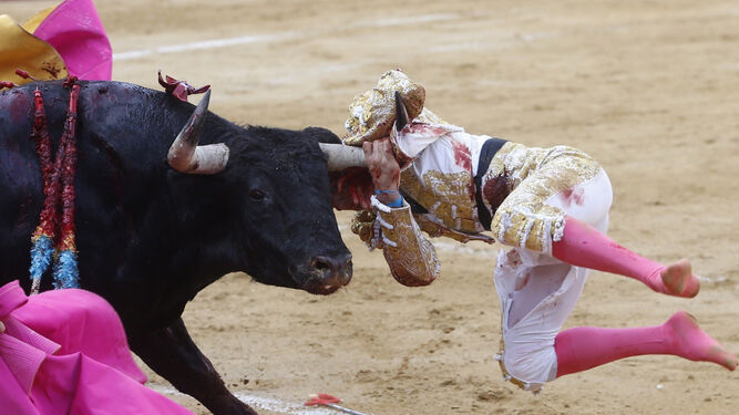 El  diestro Paco  Ureña  sufre una cogida en la  segunda corrida de Toros de la  Feria de Julio