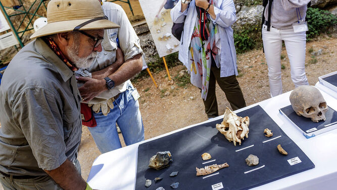 El codirector de Atapuerca, Eudald Carbonell, observa los restos de neandertales del yacimiento.