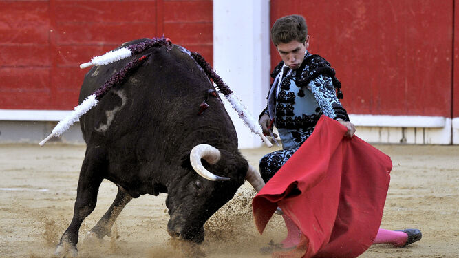 El jerezano Ginés Marín, en un pase genuflexo a uno de sus oponentes, ayer, en la plaza de toros de Albacete.