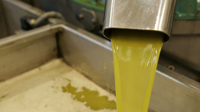 Tratamiento del aceite de oliva en una fábrica