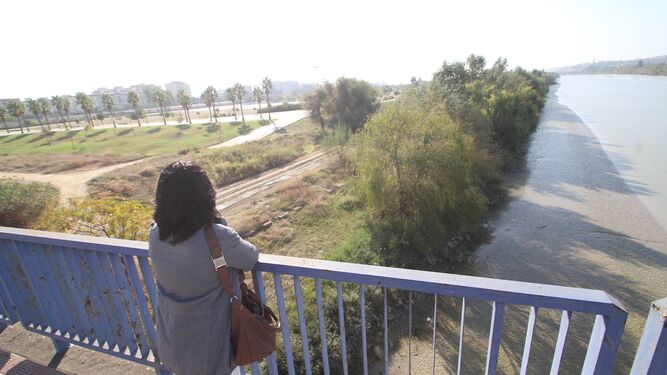 El parque Vega de Triana, de 80 hectáreas, y el Guadalquivir desde el puente de acceso a la autovía de Huelva.