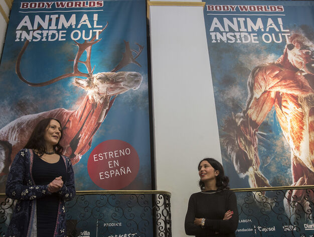 La exposici&oacute;n 'Animal Inside Out', en Sevilla