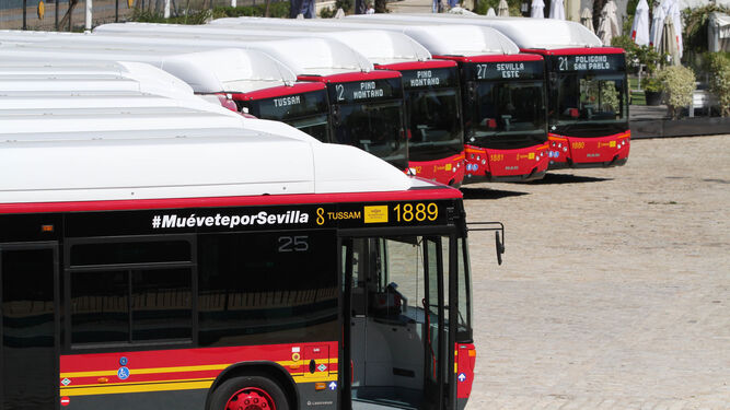 La flota de autobuses de Tussam, en una imagen de archivo.