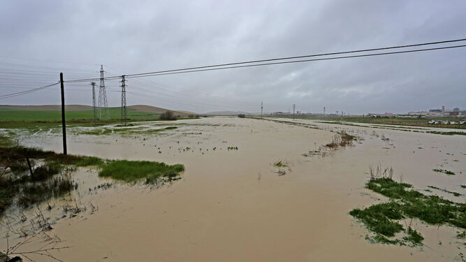 Un campo anegado por el temporal en las inmediaciones de Jerez.