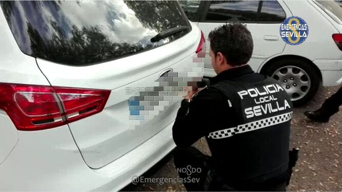 Un agente de Policía local revisa la matrícula del coche.