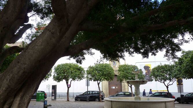 La nómada Pila del Pato y el convento de San Leandro al fondo, pieza fundamentales de esta plaza con el majestuoso laurel de Indias en primer plano.