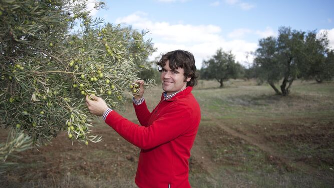 Víctor Pérez muestra los frutos del olivar de la finca.