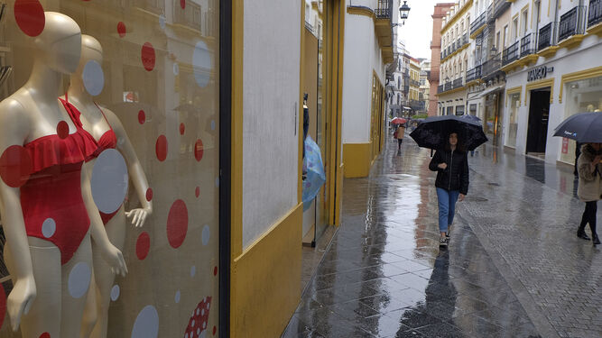La calle Velázquez cubierta de agua de lluvia con anuncios de bañadores en los escaparates.